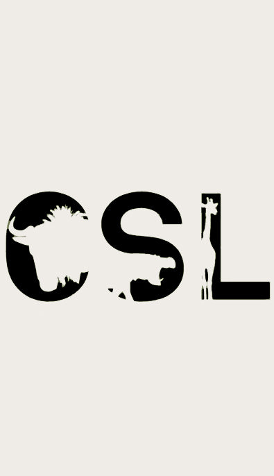 Conservation South Luangwa