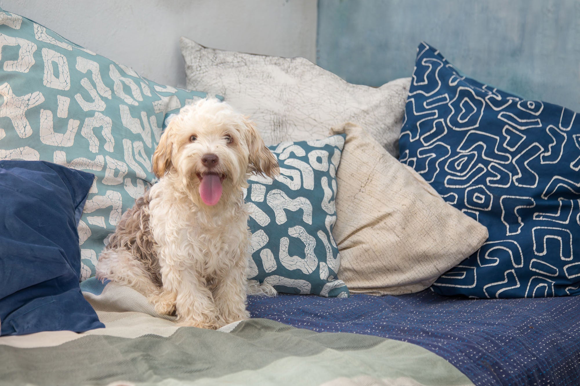 Looking for the perfect comfortable and cozy cushion covers, destined to wow in sustainable style? Look towards Kuba indigos.